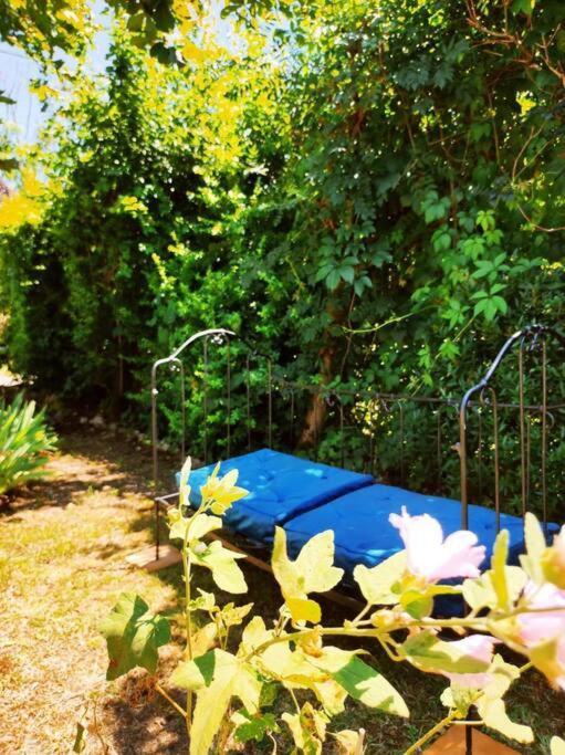 Gite La Petite Longere Septfonds Extérieur photo